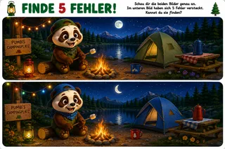 Vorschau: Fehlerbild Nachtlager