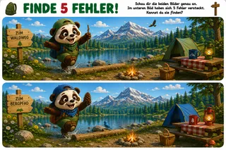 Vorschau: Fehlerbild Waldweg