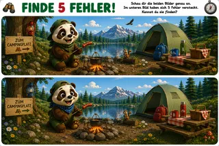 Vorschau: Fehlerbild Seecamp